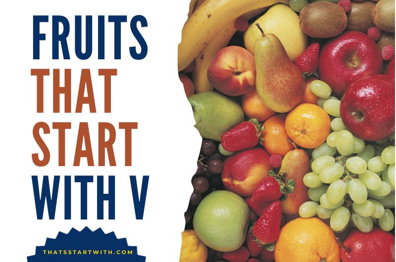 Fruits That Start With v
