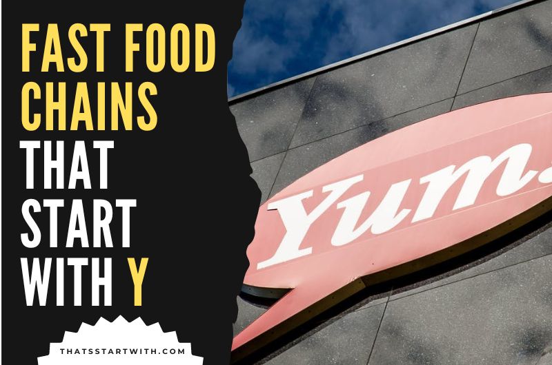 Fast Food Chains That Start With Y