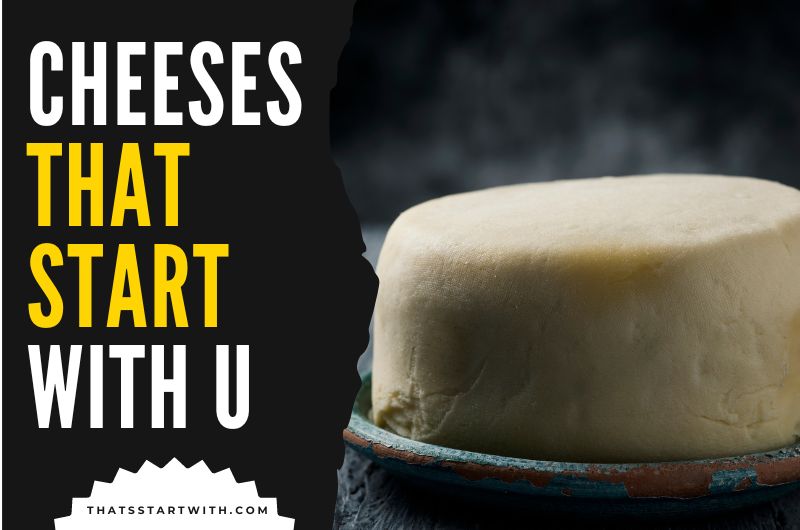Cheeses That Start With U