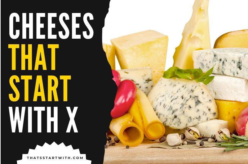 Cheeses That Start With X