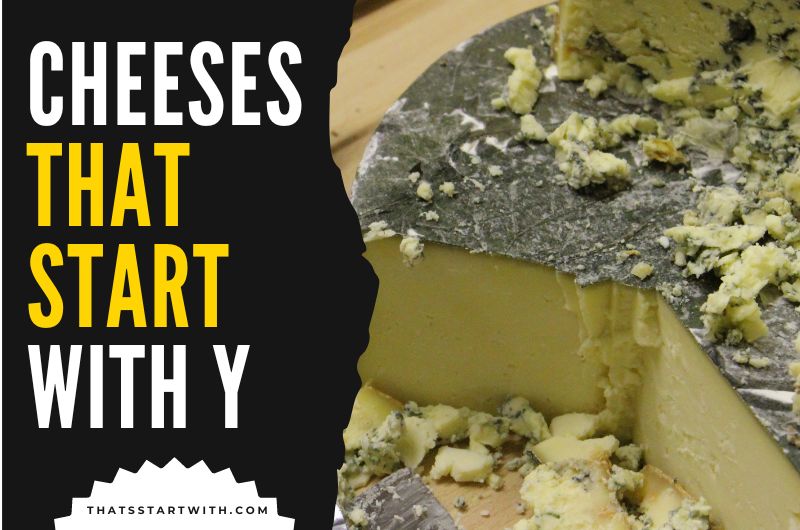 Cheeses That Start With Y
